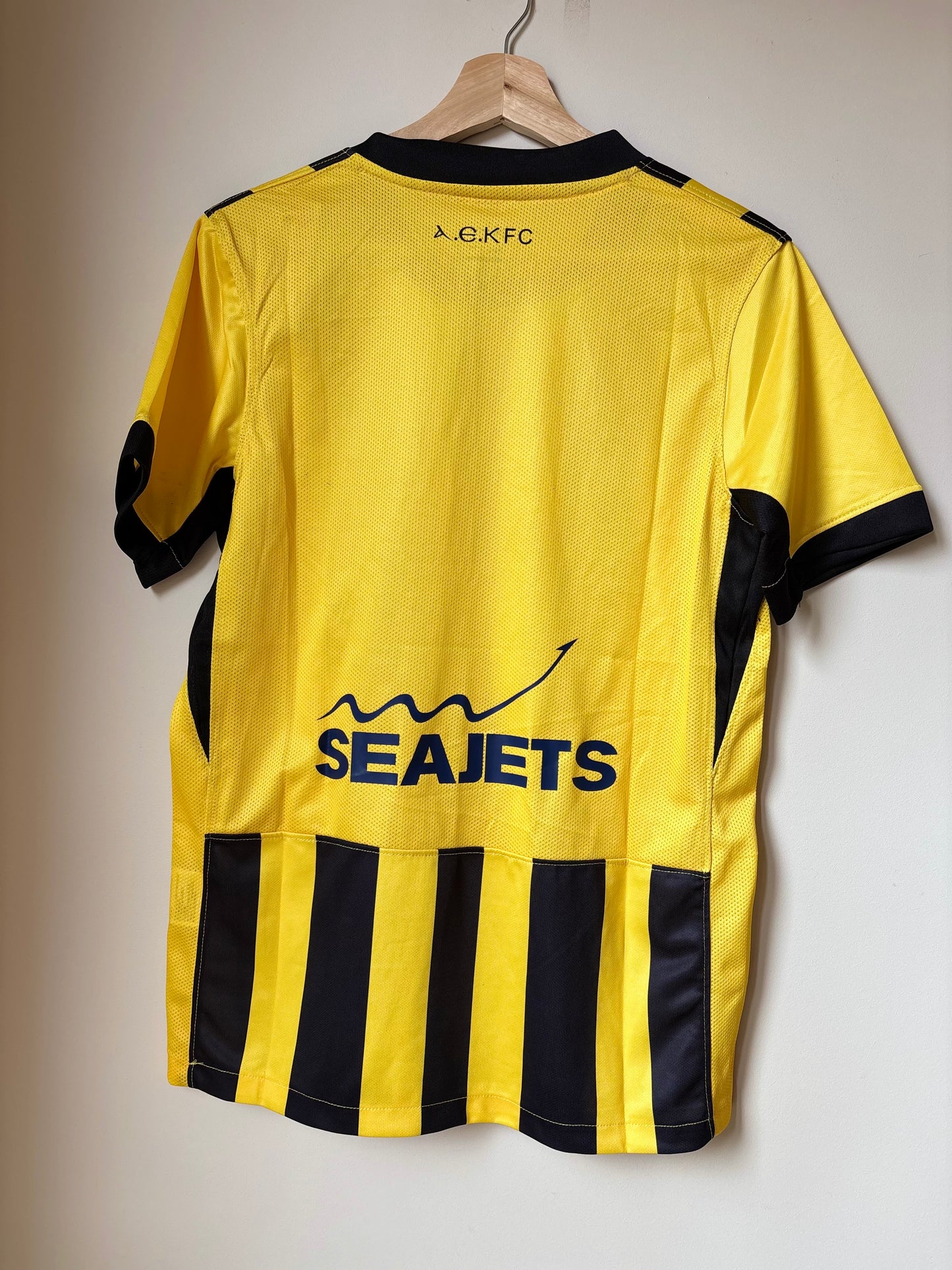 AEK Athens 25/26 Fans Home