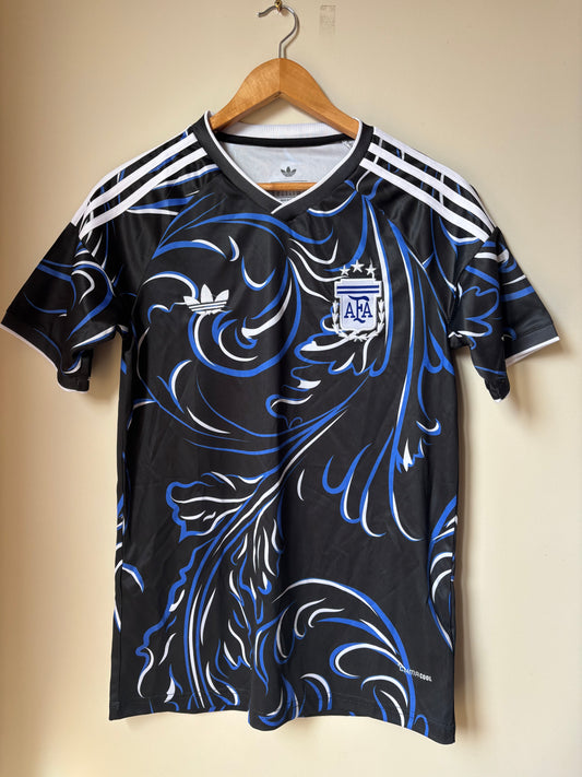 Argentina World Cup 2026 Fans Away