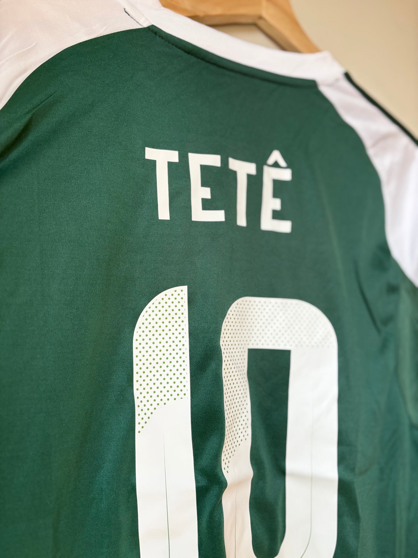 Panathinaikos Home Fans Version 25/26