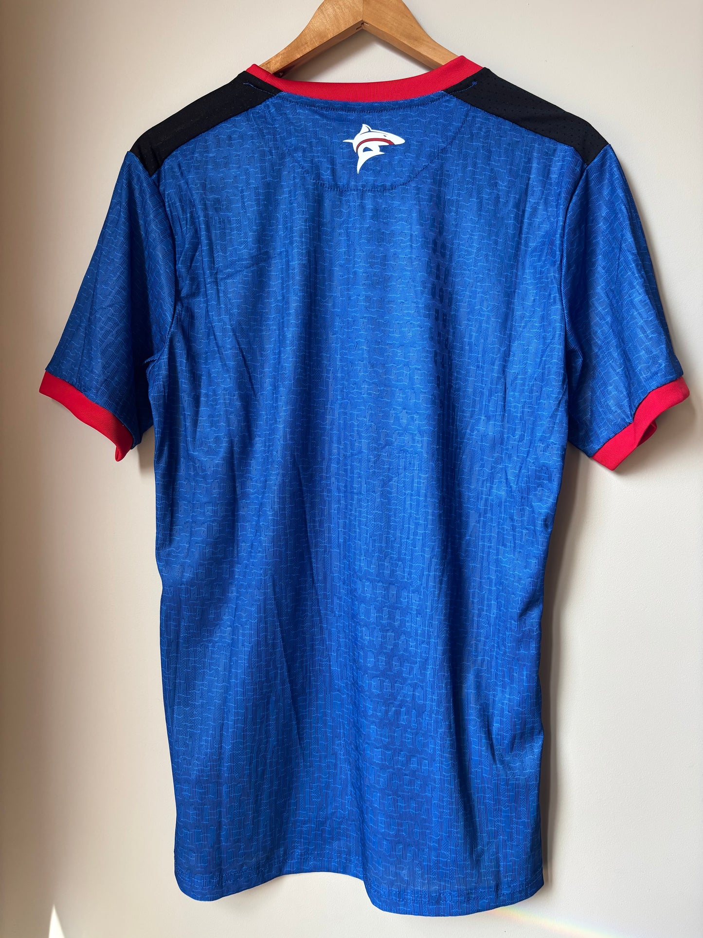 Cape Verde World Cup 2026