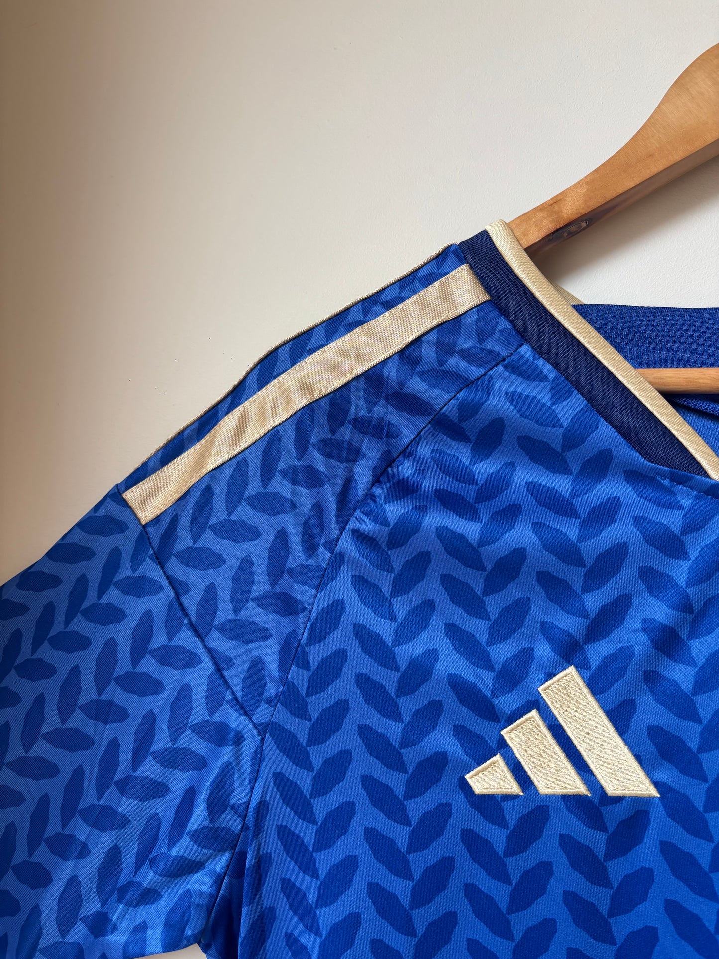 Italy World Cup 2026 Home